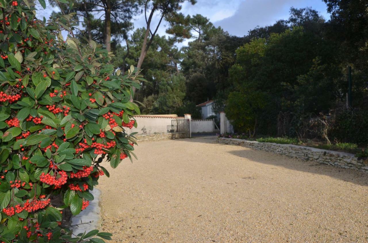 Maisonnette Maumusson Villa Saint-Trojan-les-Bains Exterior foto